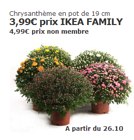 Plantes - Cache-Pots Et Plantes - Ikea