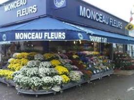 LE PRESIDENT DE MONCEAU FLEURS VEND DES ACTIONS | www.Jardinerie-Animalerie-Fleuriste.fr