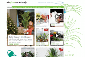 OFFICE HOLLANDAIS DES FLEURS - NOUVEAUX SITES GRAND PUBLIC | www.Jardinerie-Animalerie-Fleuriste.fr