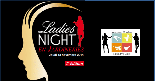 Logo Ladies Night