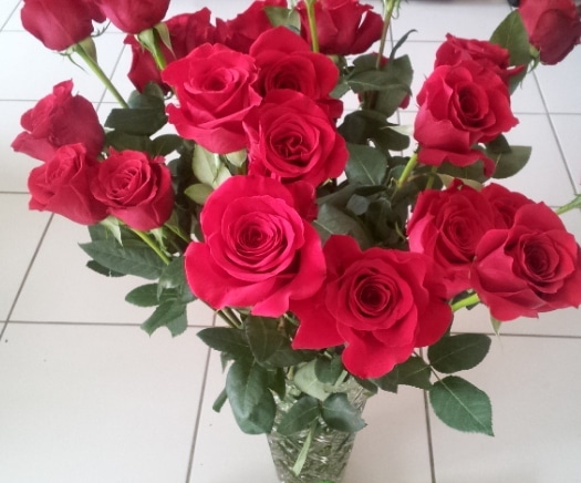 J'Ai Teste Pour Vous - Des Roses De Colombie En 3 Jours Chrono ! | Www.jardinerie-Animalerie-Fleuriste.fr Image 10