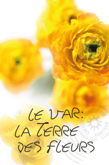Affiche-Le-Var-La-Terre-Des-Fleurs-Renoncules_Bloc