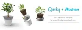 REM'POTE - POT DE FLEUR PLIABLE - INNOVATION CLIENTS AUCHAN ! | www.Jardinerie-Animalerie-Fleuriste.fr