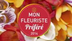 MON FLEURISTE PRÉFÉRÉ LANCE SON SITE INTERNET ! | www.Jardinerie-Animalerie-Fleuriste.fr