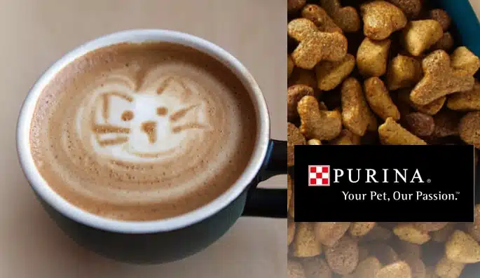 ECOUTE CONSOMMATEURS - PURINA OUVRE UN CAT CAFE  | www.Jardinerie-Animalerie-Fleuriste.fr