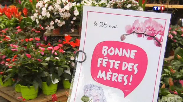 FLEURISTE - TF1 - UN BEAU MESSAGE POUR LES MAMANS | www.Jardinerie-Animalerie-Fleuriste.fr