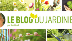 JARDILAND LANCE SON NOUVEAU BLOG DU JARDINIER | www.Jardinerie-Animalerie-Fleuriste.fr