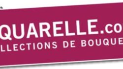 FLEURISTE - AQUARELLE - EN PLEINE EXTENSION ! | www.Jardinerie-Animalerie-Fleuriste.fr