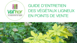 VALHOR PUBLIE LE GUIDE D'ENTRETIEN DES VEGETAUX LIGNEUX | www.Jardinerie-Animalerie-Fleuriste.fr