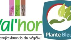 LAURIERS 2014 DE L' AJJH - PREMIER PRIX POUR VALHOR PLANTE BLEUE  | www.Jardinerie-Animalerie-Fleuriste.fr