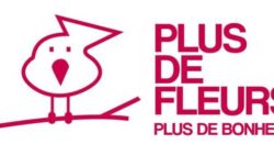 NOUVELLE FRANCHISE FLEURISTE - PLUS DE FLEURS - PLUS DE BONHEUR ! | www.Jardinerie-Animalerie-Fleuriste.fr image 1
