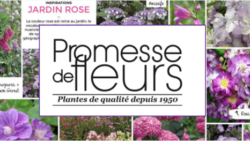 E-COMMERCE - NOUVEAU SITE PLEIN DE PROMESSE ...DE FLEURS | www.Jardinerie-Animalerie-Fleuriste.fr image 1