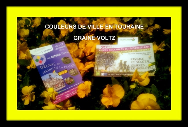 LA TOURAINE - BERCEAU DES JARDINS FLEURIS DES GRAINES VOLTZ | www.Jardinerie-Animalerie-Fleuriste.fr image 1