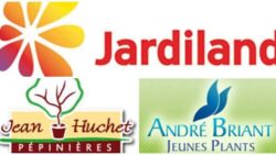 ABJP - JARDILAND - PEPINIERES HUCHET EN NÉGOCIATION EXCLUSIVE | www.Jardinerie-Animalerie-Fleuriste.fr