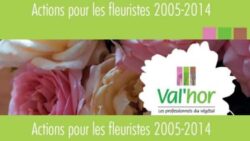 LES ACTIONS DE VALHOR AU PROFIT DES FLEURISTES | www.Jardinerie-Animalerie-Fleuriste.fr