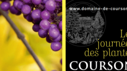 JOURNEES DES PLANTES DE COURSON DÉMÉNAGE POUR CHANTILLY EN 2015 | www.Jardinerie-Animalerie-Fleuriste.fr