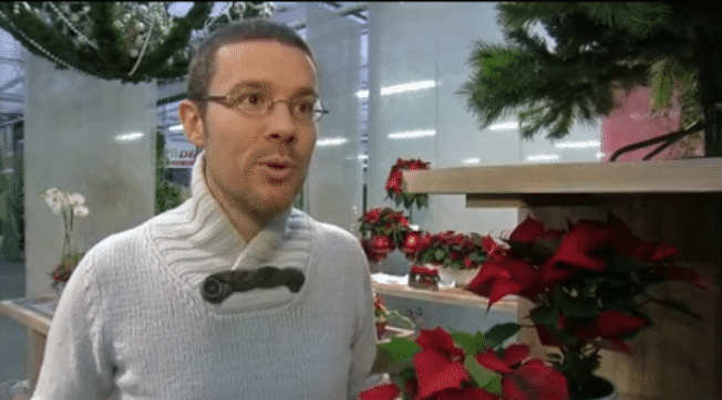 ANGERS - LE POINSETTIA A LA UNE ! | www.Jardinerie-Animalerie-Fleuriste.fr