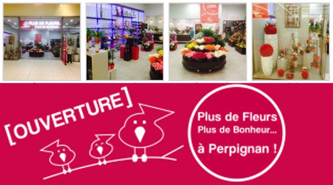 FLEURISTE - NOUVELLE BOUTIQUE PLUS-DE-FLEURS A PERPIGNAN | www.Jardinerie-Animalerie-Fleuriste.fr