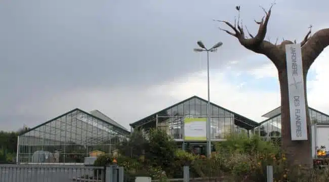 JARDINERIE DES FLANDRES (EX-BAOBAB) - LE MAIRE INQUIET ! | www.Jardinerie-Animalerie-Fleuriste.fr