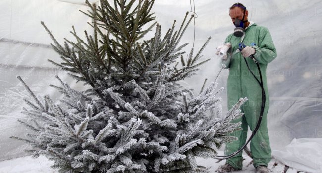UNE ENTREPRISE DE PRODUCTION DE SAPIN FLOQUES EN FEU ! | www.Jardinerie-Animalerie-Fleuriste.fr