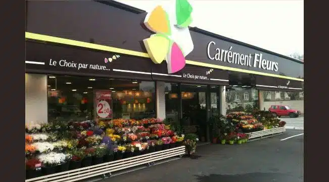 carrement fleurs