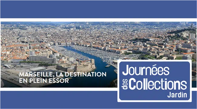 jdc marseille