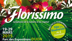 FLORISSIMO DIJON - UNE SYMPHONIE VEGETALE ! | www.Jardinerie-Animalerie-Fleuriste.fr
