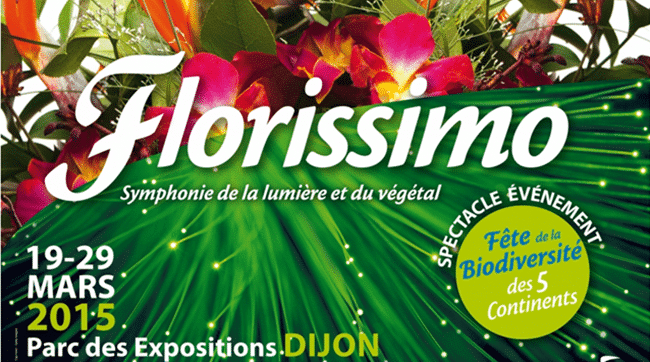 FLORISSIMO DIJON - UNE SYMPHONIE VEGETALE ! | www.Jardinerie-Animalerie-Fleuriste.fr