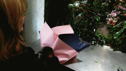 MONCEAU EMOVA GROUPE - 2015 - GIF