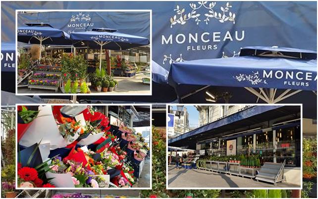 MONCEAU EMOVA GROUPE 2015 - S2