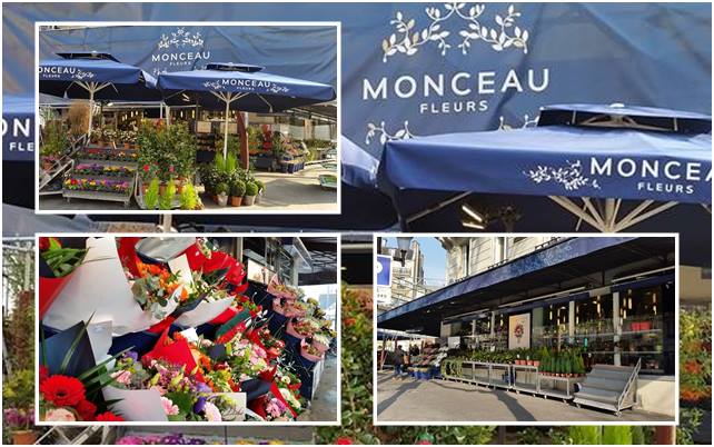 Visite de la boutique fleuriste monceau fleurs paris malesherbes