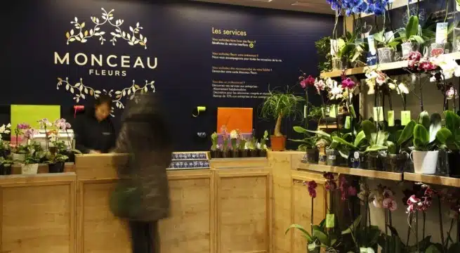 MONCEAU FLEURS - NOUVELLE BOUTIQUE PARISIENNE | www.Jardinerie-Animalerie-Fleuriste.fr