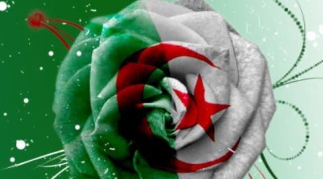 ALGERIE - LE MARCHE DE LA FLEUR EN REGRESSION ? | www.Jardinerie-Animalerie-Fleuriste.fr