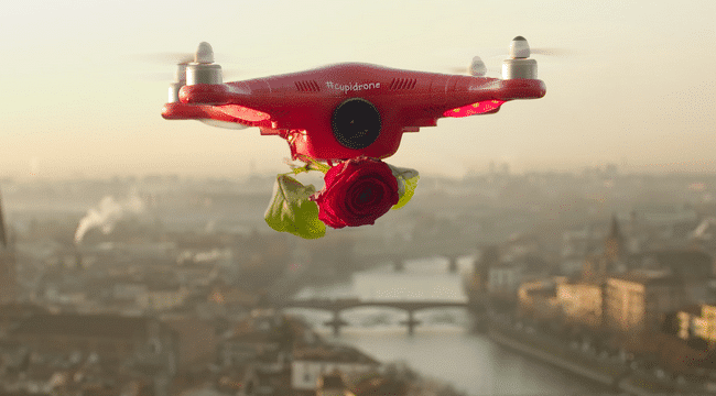 E-INFLUENCE - L'OPERATION CUPIDRONE DE L'OFFICE HOLLANDAIS DES FLEURS | www.Jardinerie-Animalerie-Fleuriste.fr