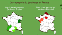 E-COMMERCE -  LA FRANCE DU JARDINAGE EN 2015 | www.Jardinerie-Animalerie-Fleuriste.fr image 2