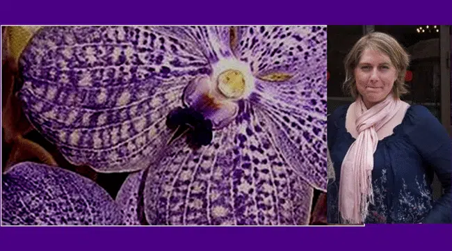 VANDA FORMATION - CELINE JOUVE - J'AI TOUJOURS AIME TRANSMETTRE | www.Jardinerie-Animalerie-Fleuriste.fr image 3