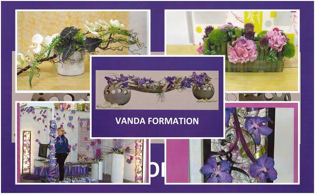 Vanda 1