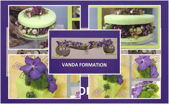Vanda 2