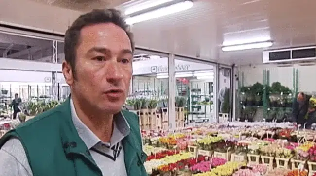 MAXIME FRANCOIS PRESENTE L'ORIGINE DE SES FLEURS | www.Jardinerie-Animalerie-Fleuriste.fr