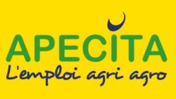 LogoApecita_4