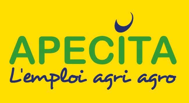 LogoApecita_4