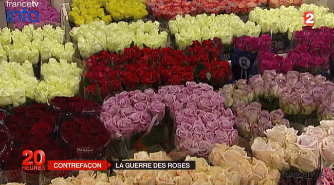 Le marché des fleurs mis à mal par les contrefaçons