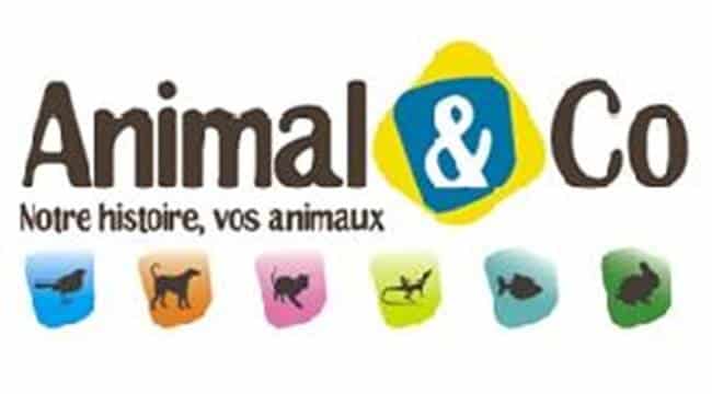 animal-co-JAF-animalerie