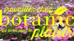 botanic-RSE-JAF-Jardinerie