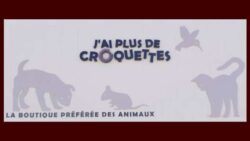 jaiplusdecroquettes-JAF-animalerie