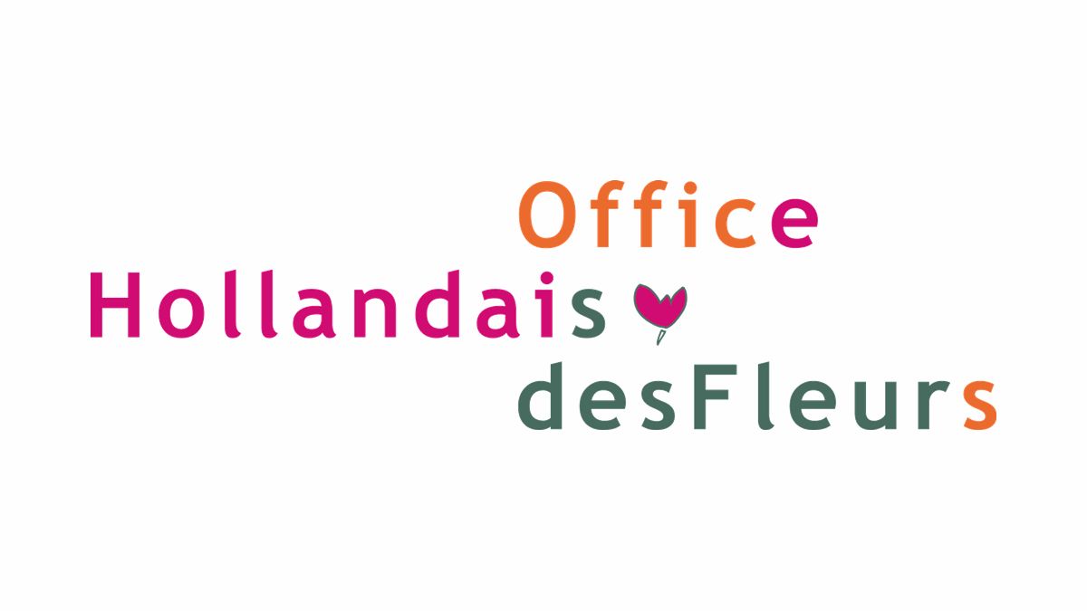 Office-Hollandais-Fleurs-JAF-Jardinerie-Fleuriste