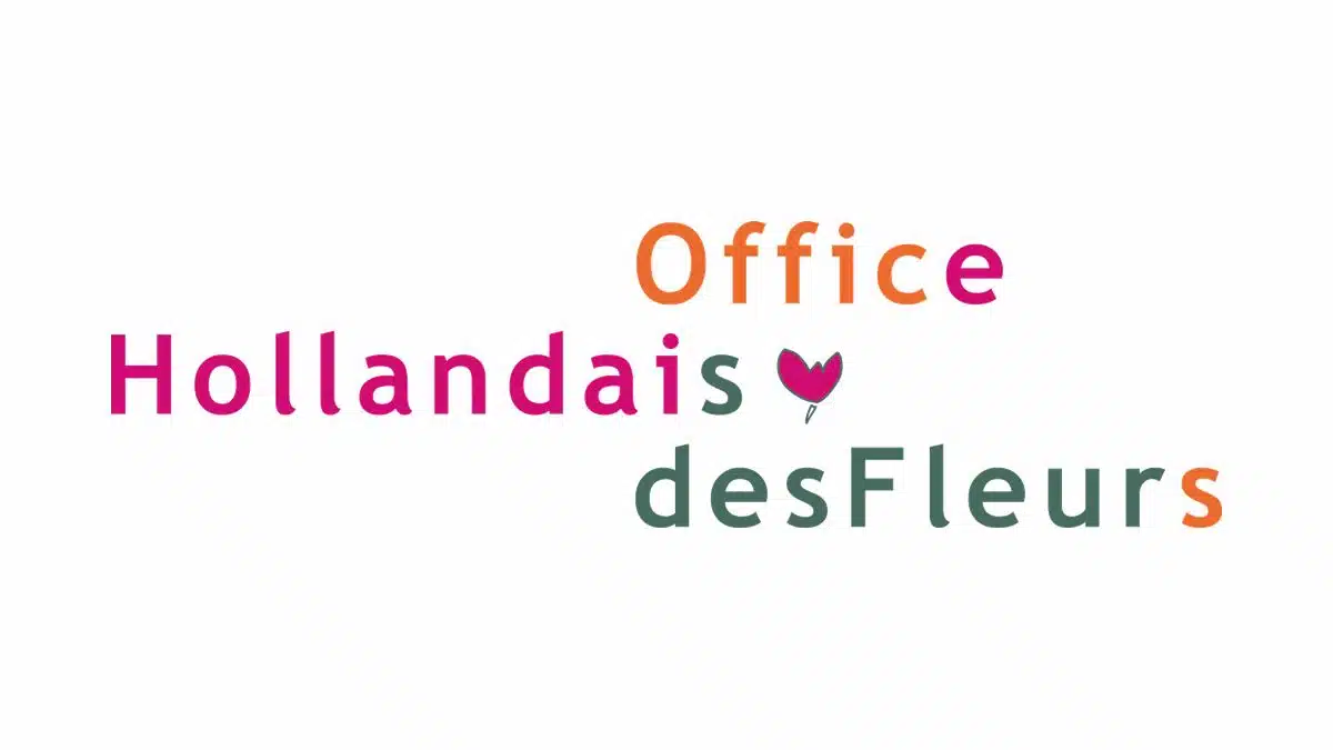 Office-Hollandais-Fleurs-JAF-Jardinerie-Fleuriste