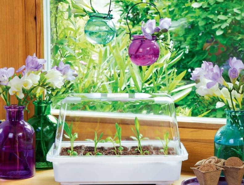 Romberg-Jdc-1-Jaf-Jardinerie