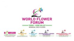 world-flower-forum-JAF-fleuriste