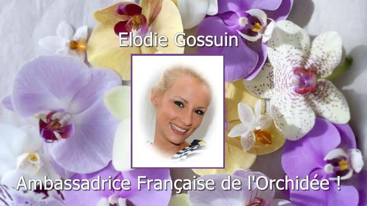 Elodie-Gossuin-Ambassadrice-Orchidée-JAF-jardinerie-fleuriste